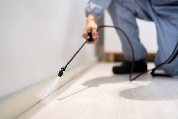 Licensed Fumigation Services service in Caldwell County County, TX - Nex Pest Control